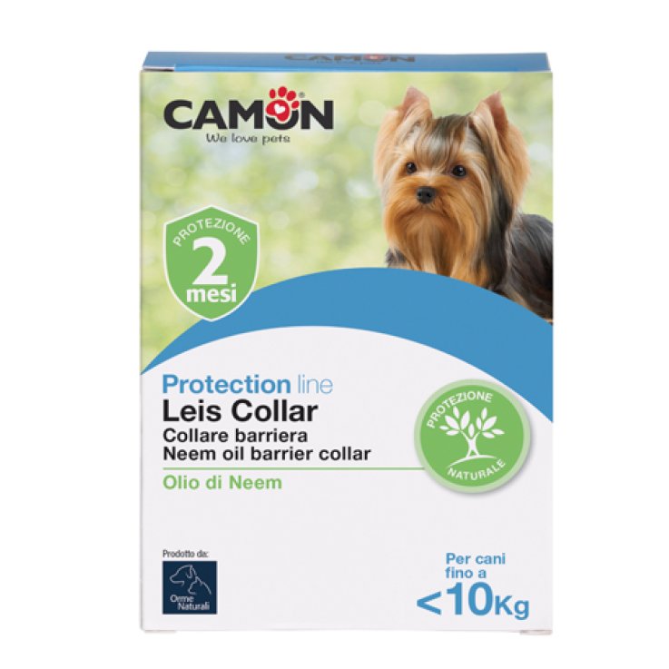 LEIS COLLARE BARRI CANE 35CM S LEIS COLLARE BARRI CANE 35CM S