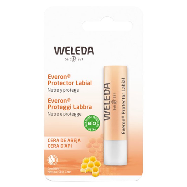 EVERON Proteggi Labbra 4,8g EVERON Proteggi Labbra 4,8g