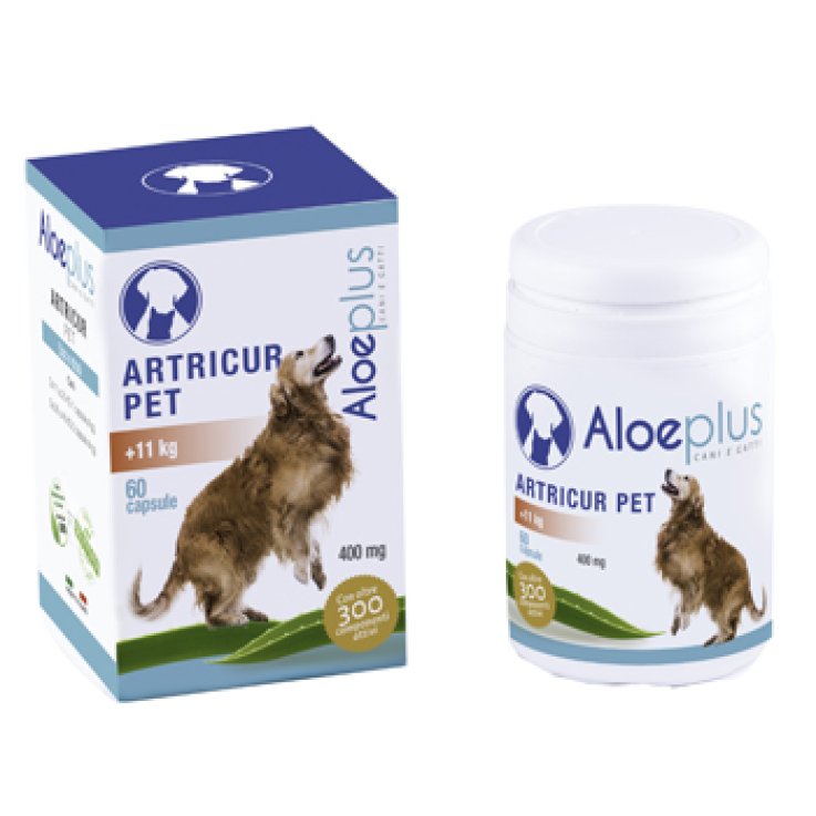 ARTRICUR PET 60 Cps(+11Kg) ARTRICUR PET 60 Cps(+11Kg)