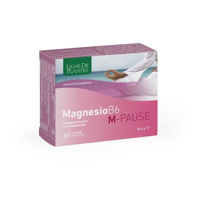 MAGNESIO B6 M-PAUSE 60Cps N-S MAGNESIO B6 M-PAUSE 60Cps N-S