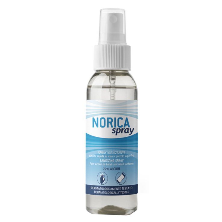 NORICA Spray Igienizz.100ml NORICA Spray Igienizz.100ml