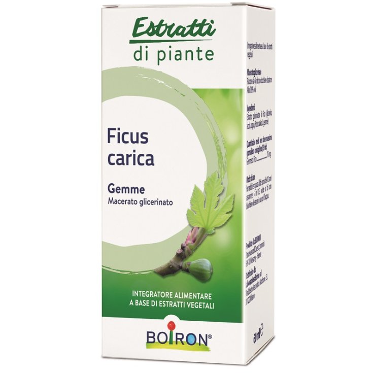 BO.FICUS CARICA MG 60ml BO.FICUS CARICA MG 60ml