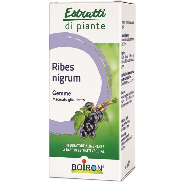 BO.RIBES NIGRUM 60ml INT BO.RIBES NIGRUM 60ml INT