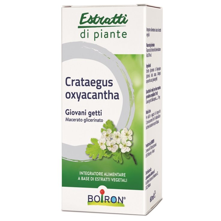 BO.CRATAEGUS OX.1DH MG 60ml BO.CRATAEGUS OX.1DH MG 60ml