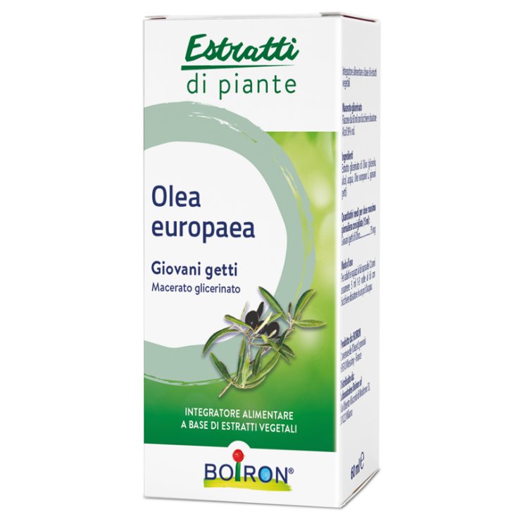 BO.OLEA EUROPEA MG 60ml BO.OLEA EUROPEA MG 60ml