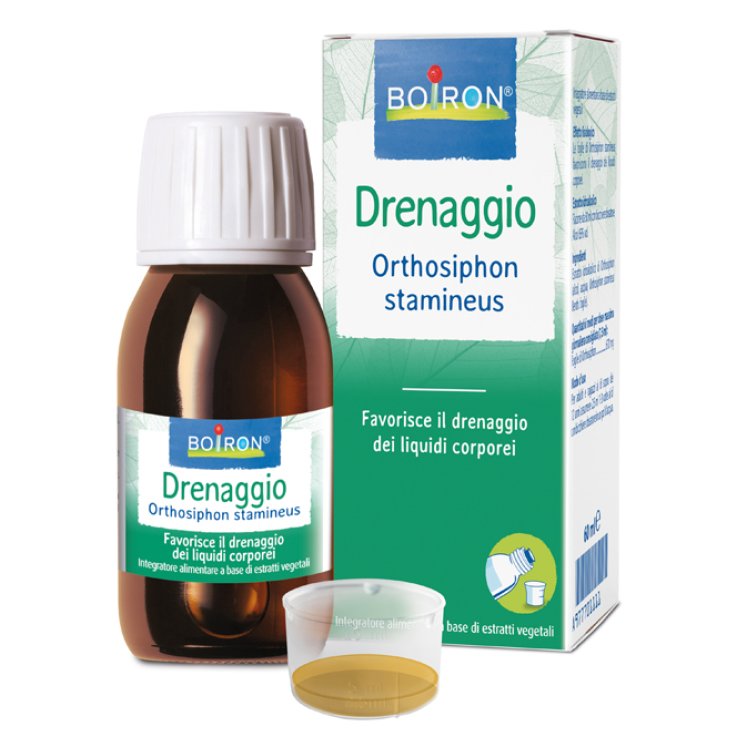 BO.ORTHOSIPHON EI 60ml BO.ORTHOSIPHON EI 60ml