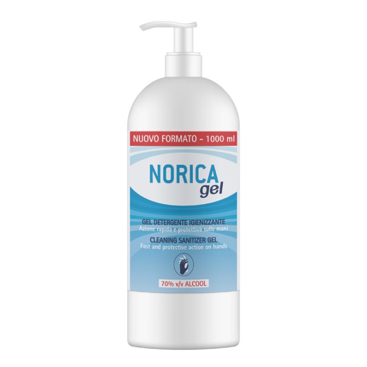 NORICA Gel Det.Igienizz.1000ml NORICA Gel Det.Igienizz.1000ml