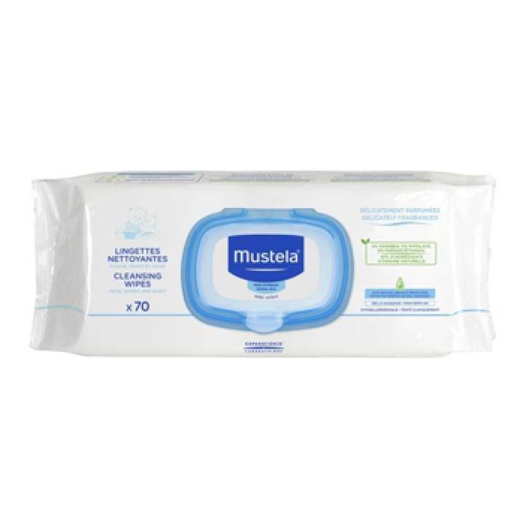 SALVIETTE DETERGENTI 70 PEZZI SALVIETTE DETERGENTI 70 PEZZI