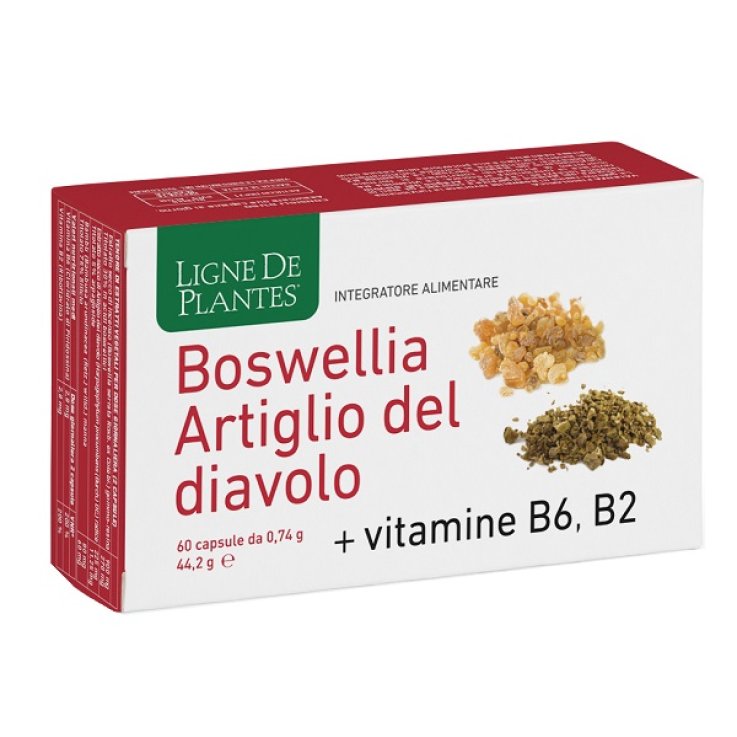 BOSWELLIA Art.Diavolo 60CpsNSE BOSWELLIA Art.Diavolo 60CpsNSE