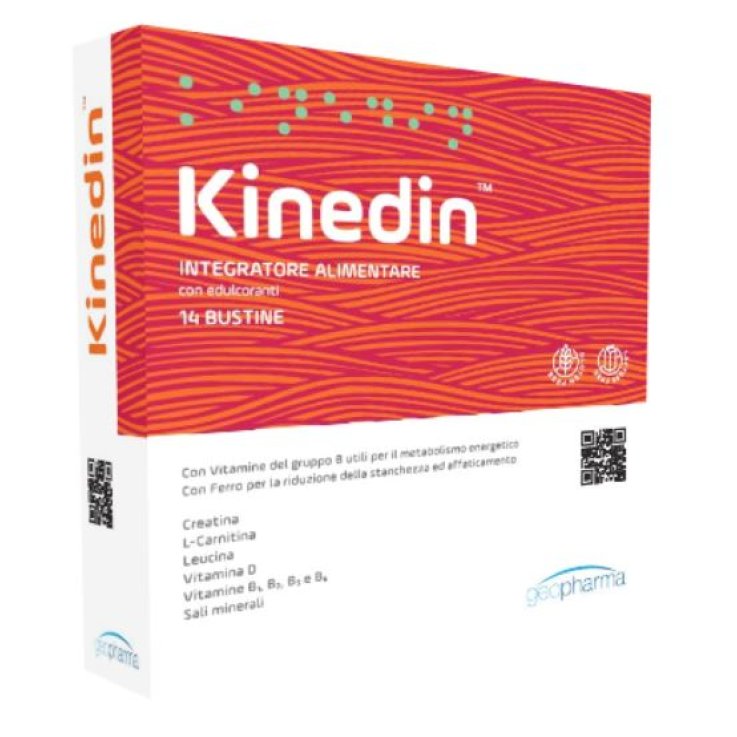 KINEDIN 14 Bust. KINEDIN 14 Bust.