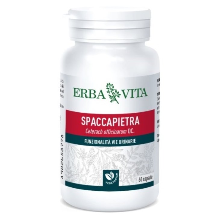 SPACCAPIETRA 60 Cps 500mg EBV SPACCAPIETRA 60 Cps 500mg EBV