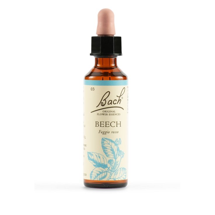 BACH 3 Beech Gtt 20ml LKR BACH 3 Beech Gtt 20ml LKR
