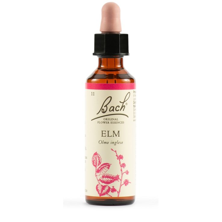 BACH 11 Elm Gtt 20ml LKR BACH 11 Elm Gtt 20ml LKR