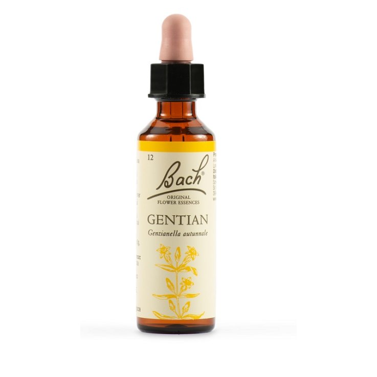 BACH 12 Gentian Gtt 20ml BACH 12 Gentian Gtt 20ml