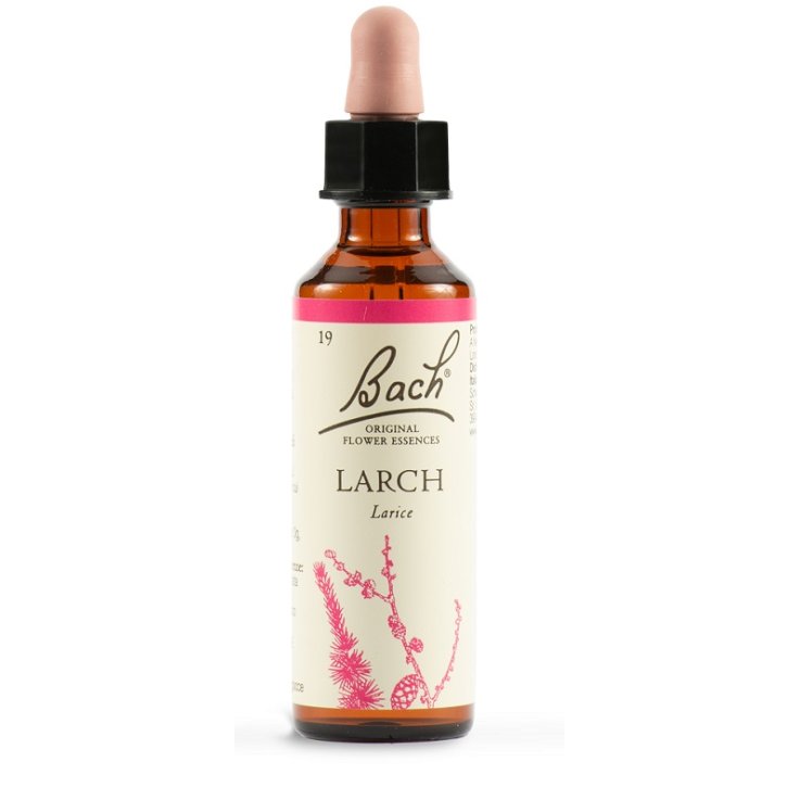 BACH 19 Larch Gtt 20ml BACH 19 Larch Gtt 20ml