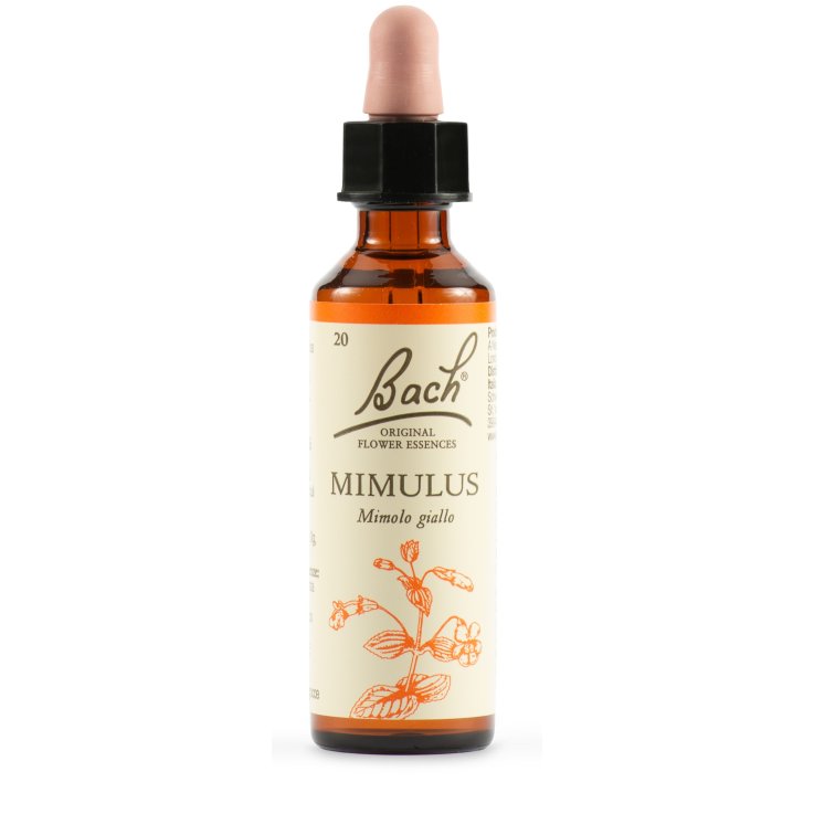 BACH 20 Mimulus Gtt 20ml LKR BACH 20 Mimulus Gtt 20ml LKR