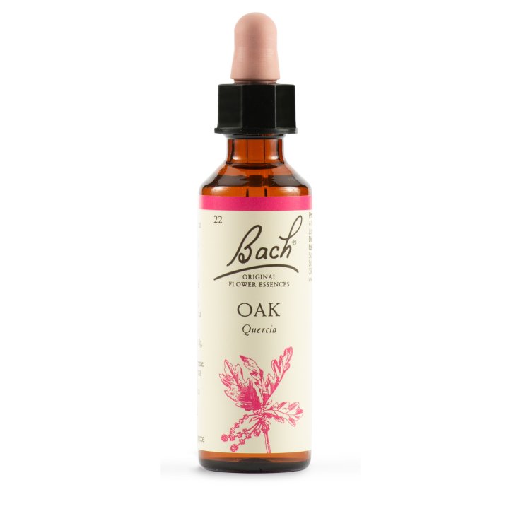 OAK BACH ORIG 22 20ml OAK BACH ORIG 22 20ml