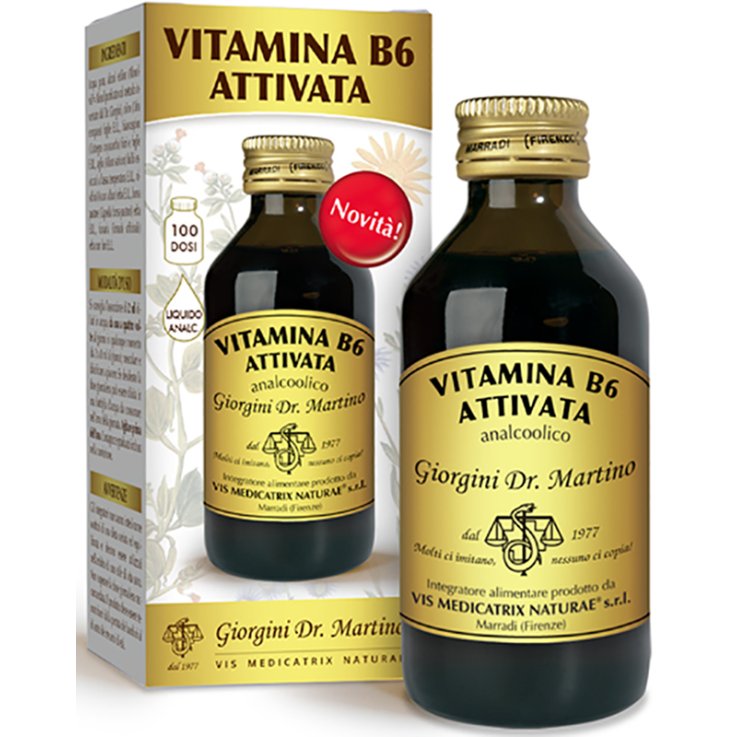 VITAMINA B 6 Att.Liq.100ml SVS VITAMINA B 6 Att.Liq.100ml SVS