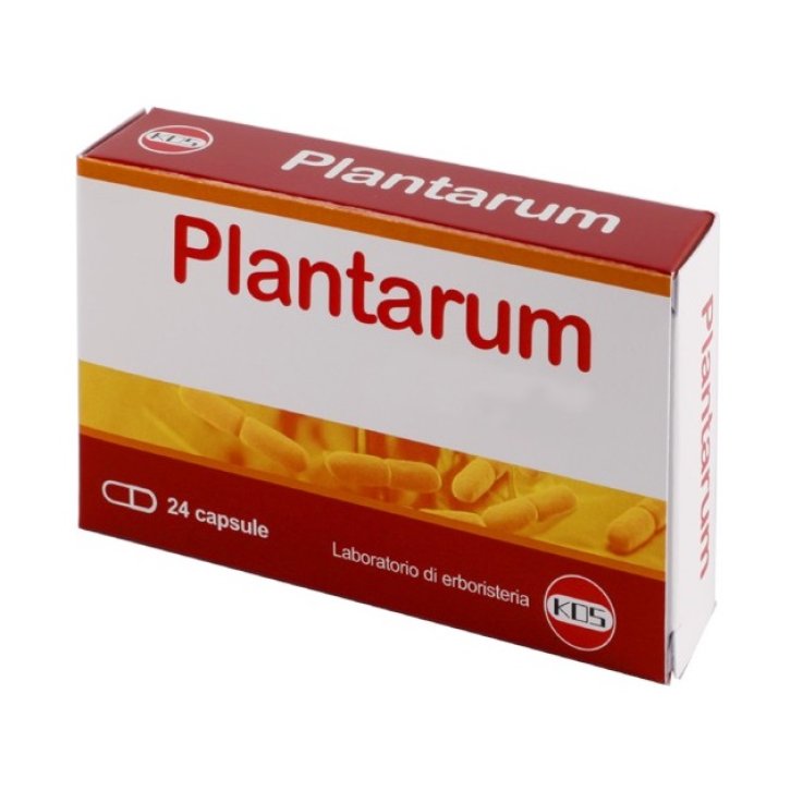 PLANTARUM 10MLD 24 Cps KOS PLANTARUM 10MLD 24 Cps KOS