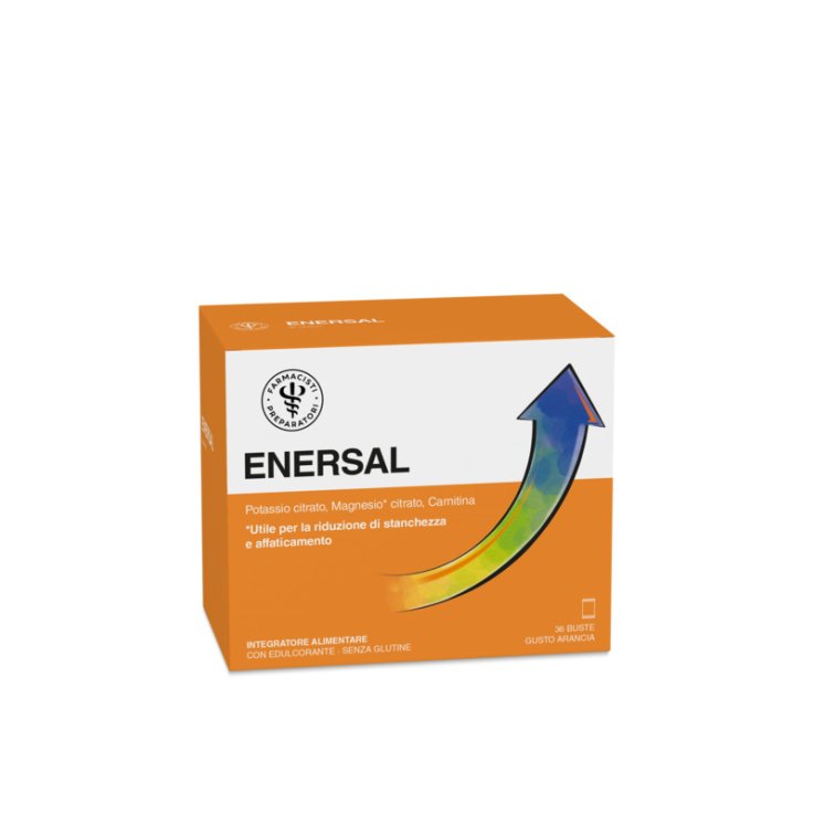 LFP ENERSAL 36 BUSTINE LFP ENERSAL 36 BUSTINE
