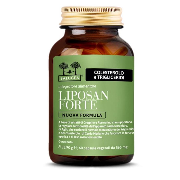 SALUGEA LIPOSAN Fte 60Cps NF SALUGEA LIPOSAN Fte 60Cps NF