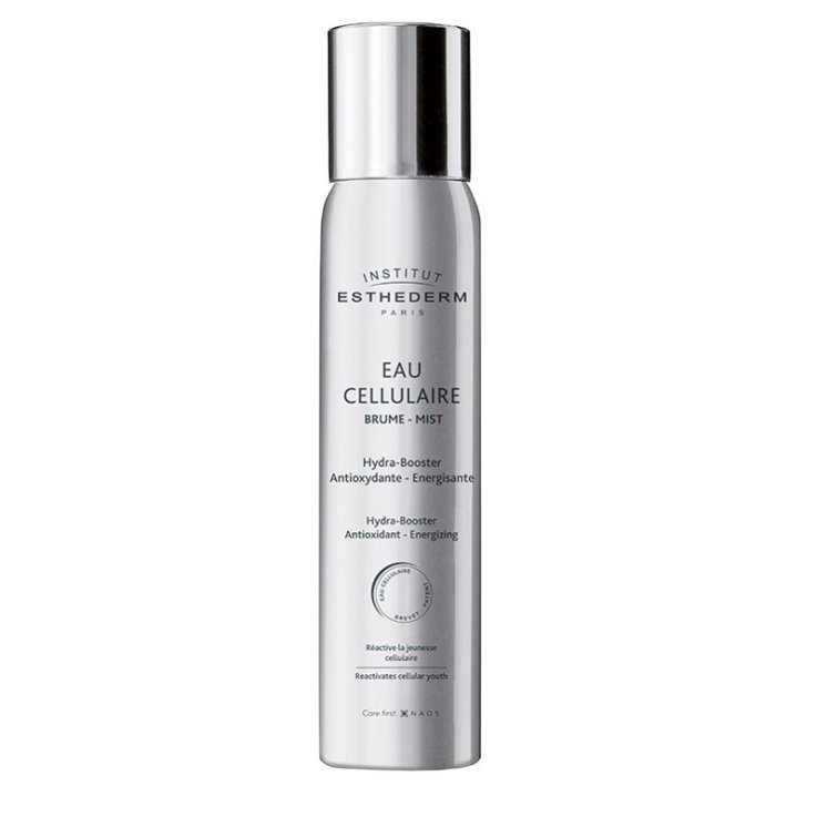 INSTI EAU CELLULAIRE BRUME 100 ML INSTI EAU CELLULAIRE BRUME 100 ML