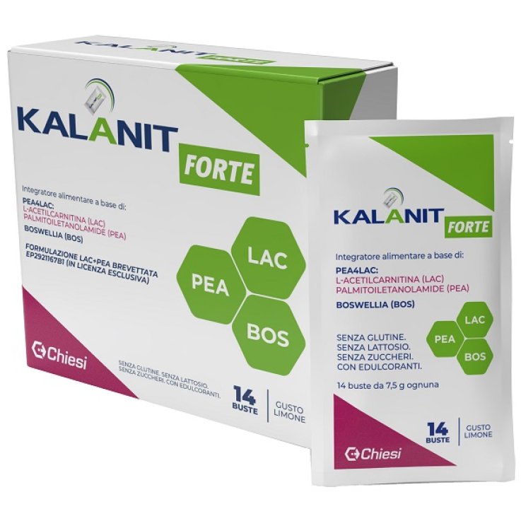 KALANIT Forte 14 Bust. KALANIT Forte 14 Bust.
