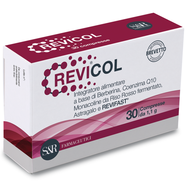 REVICOL 30 COMPRESSE REVICOL 30 COMPRESSE