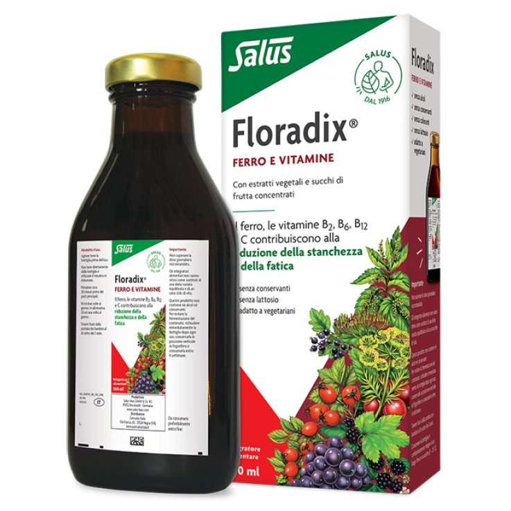 FLORADIX Integr.Ferro 500ml FLORADIX Integr.Ferro 500ml