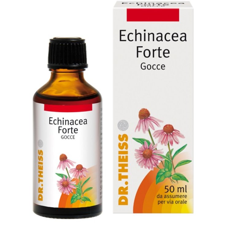 THEISS Echinacea Fte Gtt 50ml THEISS Echinacea Fte Gtt 50ml