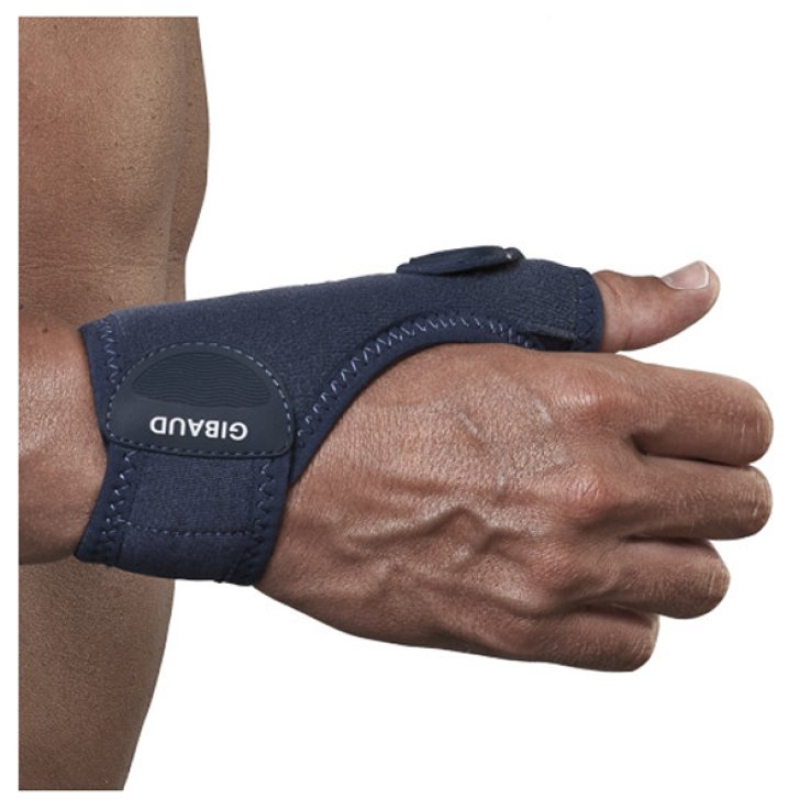 GIBAUD-ORT.Rhizogib Dx 3 GIBAUD-ORT.Rhizogib Dx 3
