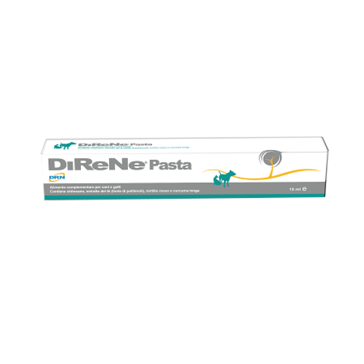 DIRENE Pasta 15ml DIRENE Pasta 15ml