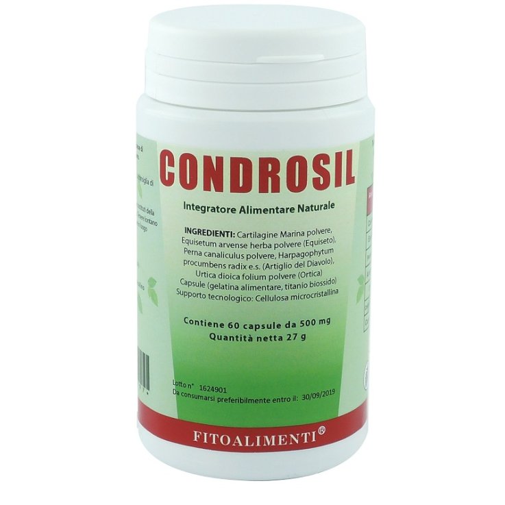 CONDROSIL 60 Cps CONDROSIL 60 Cps