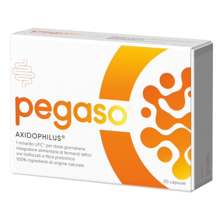 PEGASO PIGRO 30 Cps PEGASO PIGRO 30 Cps