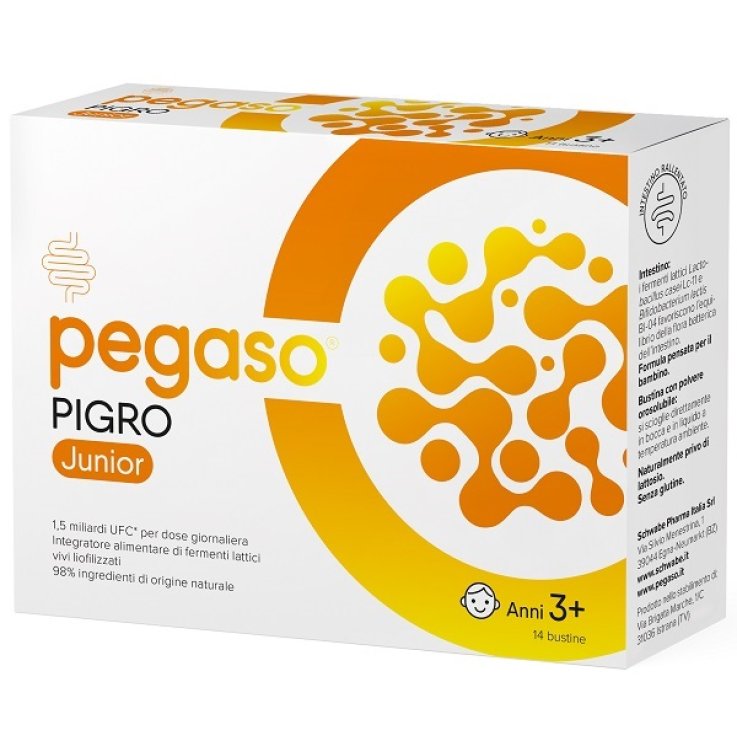 PEGASO PIGRO Junior 14 Bust. PEGASO PIGRO Junior 14 Bust.