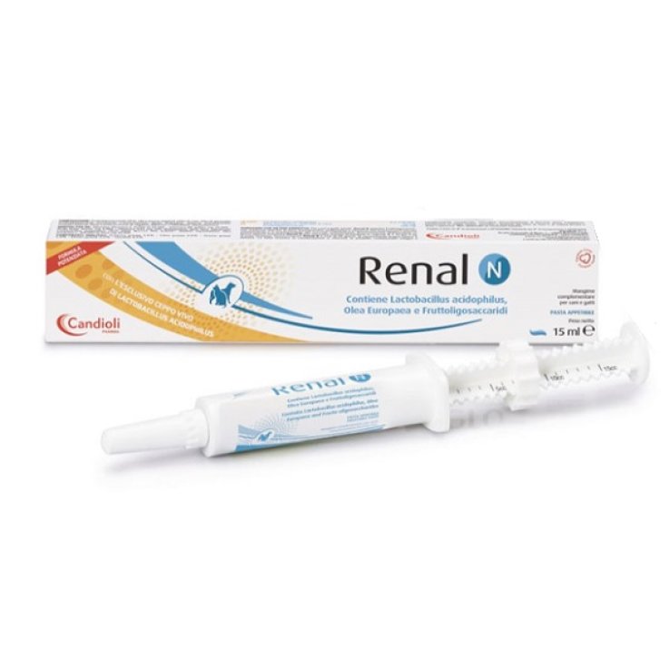 RENAL N Pasta 15ml RENAL N Pasta 15ml