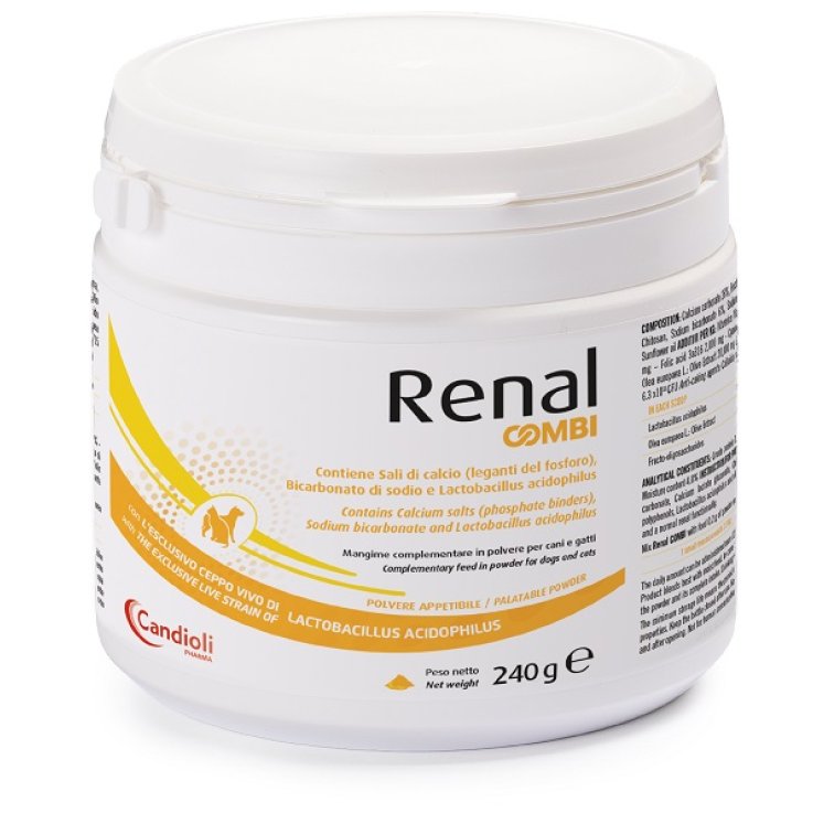 RENAL Combi Polv.240g RENAL Combi Polv.240g