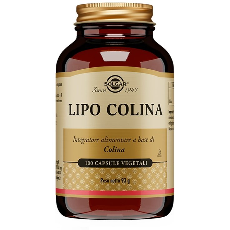 LIPO COLINA 100 Cps 100mgSOLGA LIPO COLINA 100 Cps 100mgSOLGA