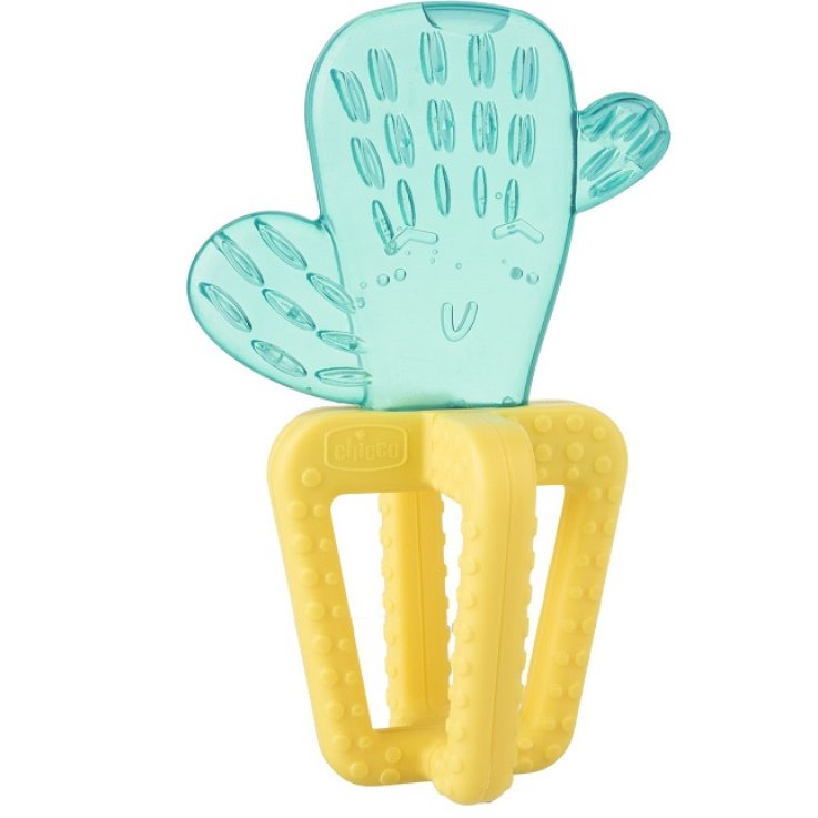 CH MassGeng.Fresh Cactus 4m+ CH MassGeng.Fresh Cactus 4m+