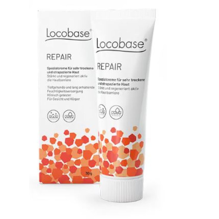LOCOBASE Repair Crema 100g LOCOBASE Repair Crema 100g