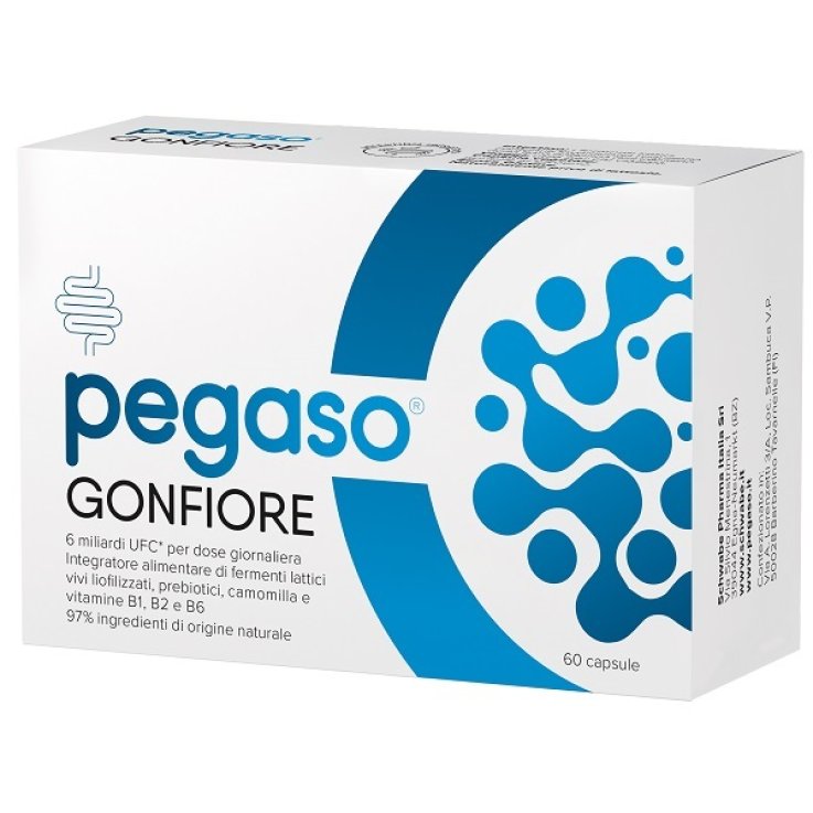 PEGASO GONFIORE 60 Cps PEGASO GONFIORE 60 Cps