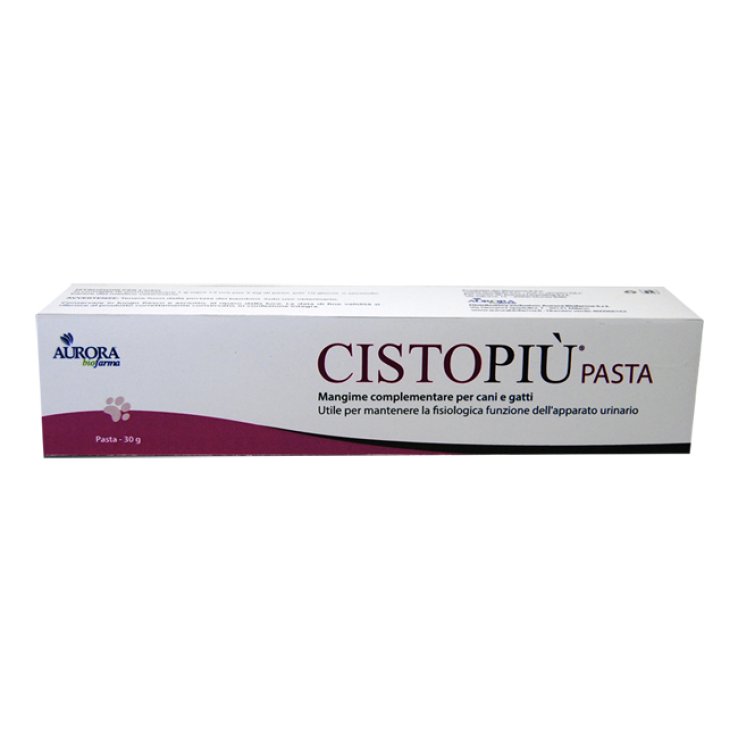 CISTOPIU'Pasta 30g CISTOPIU'Pasta 30g
