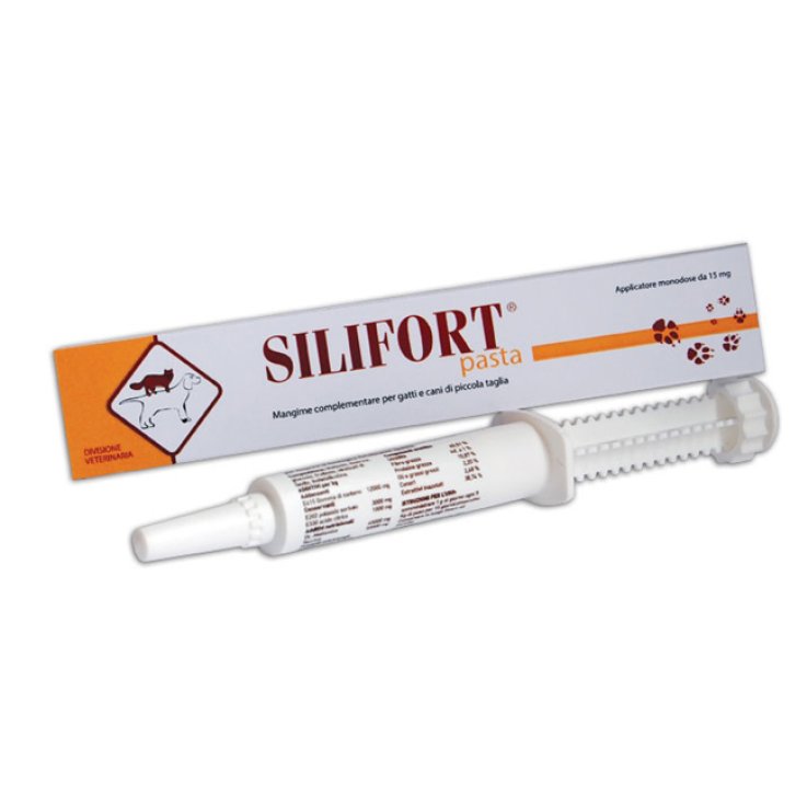 SILIFORT Pasta 30g SILIFORT Pasta 30g