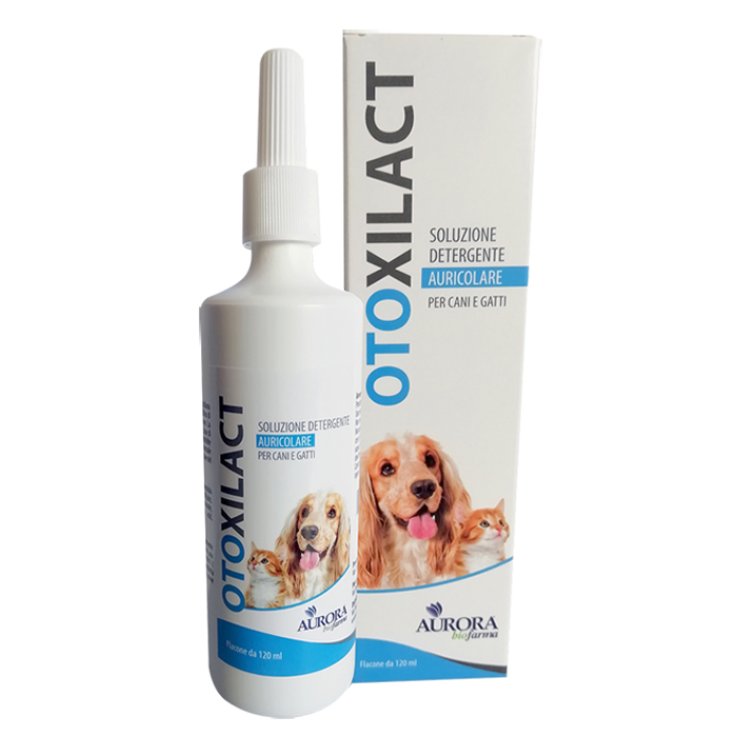 OTOXILACT Det.Auric.120ml OTOXILACT Det.Auric.120ml