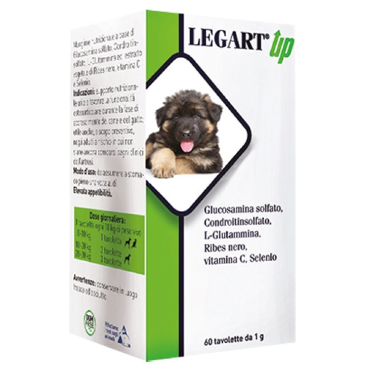 LEGART UP Vet. 60 Cpr LEGART UP Vet. 60 Cpr