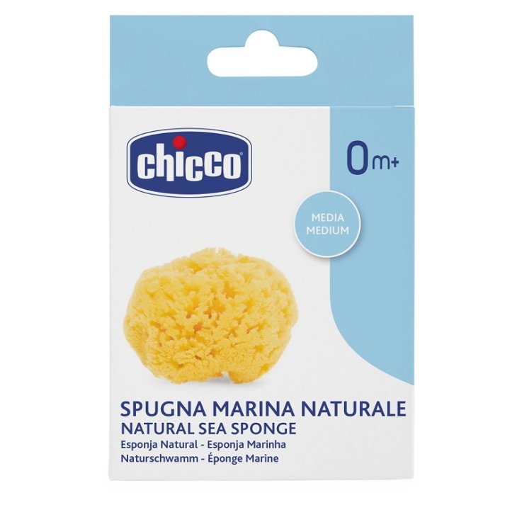 CH Spugna Marina Media CH Spugna Marina Media
