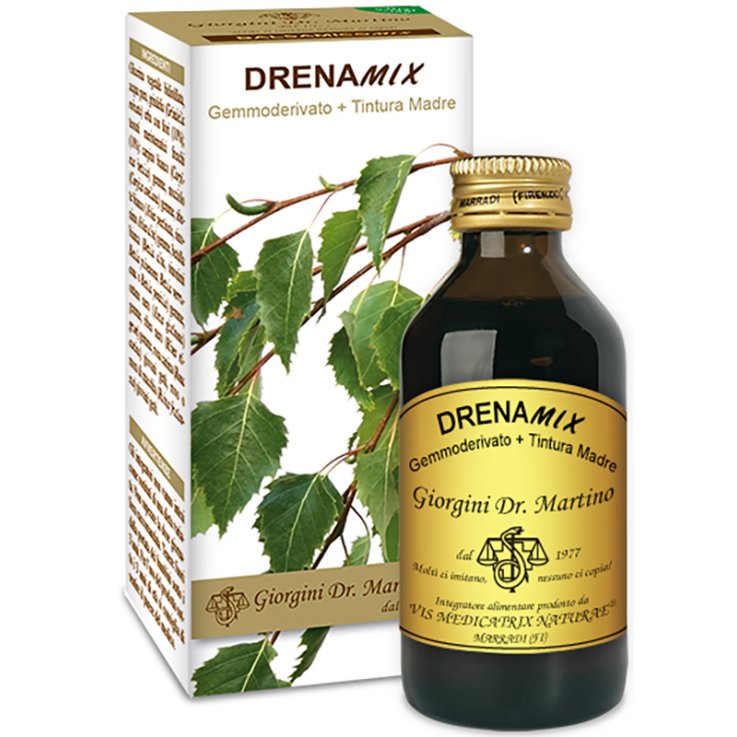 DRENAMIX Liquido Analc.100ml DRENAMIX Liquido Analc.100ml