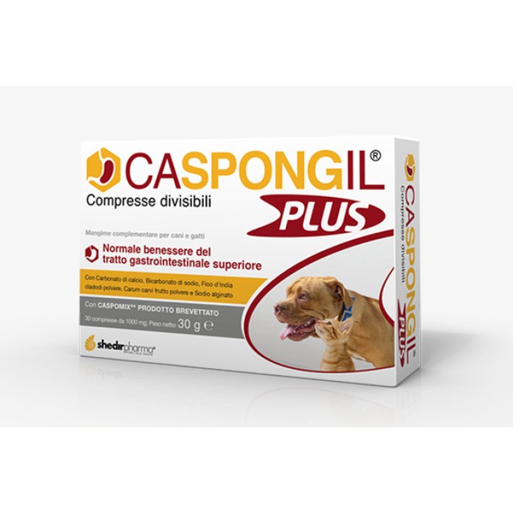 CASPONGIL Plus 30 Cpr CASPONGIL Plus 30 Cpr
