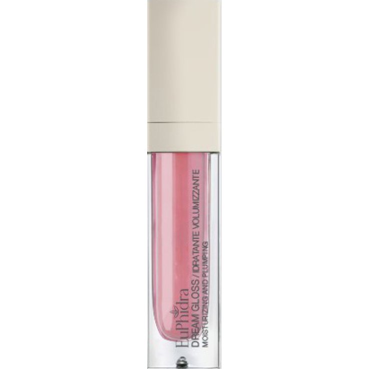 EUPHIDRA Dream Gloss DG02 EUPHIDRA Dream Gloss DG02