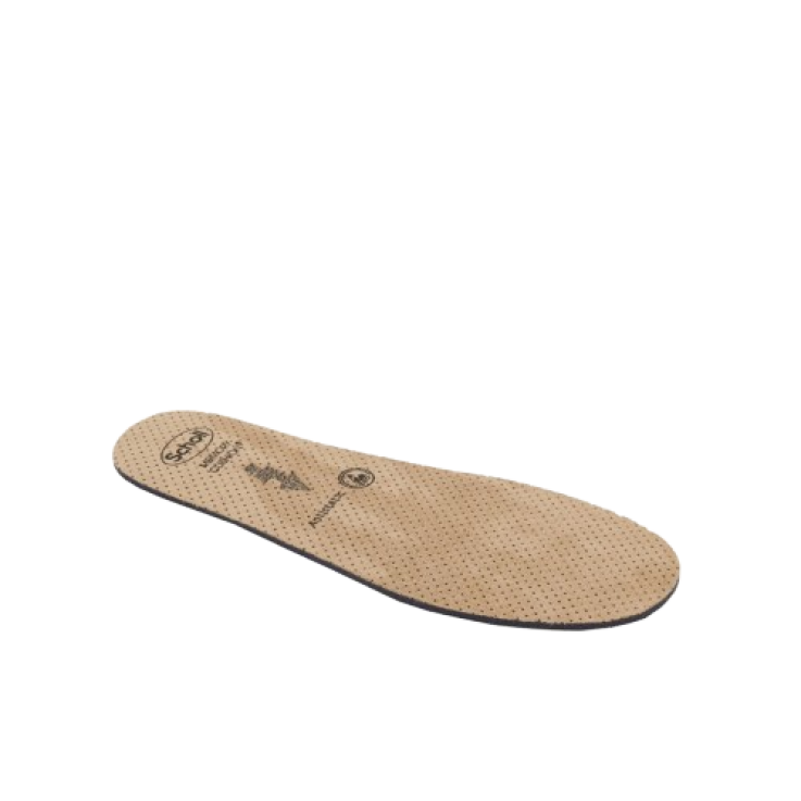 CLOG EVO Soletta A-Static34/35 CLOG EVO Soletta A-Static34/35
